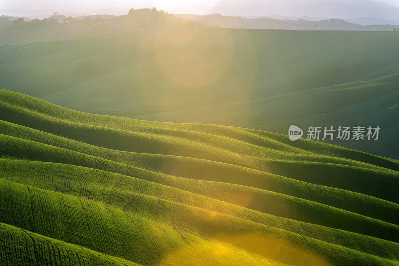 在傍晚的阳光下滚动的托斯卡纳风景，Val D'orcia，意大利